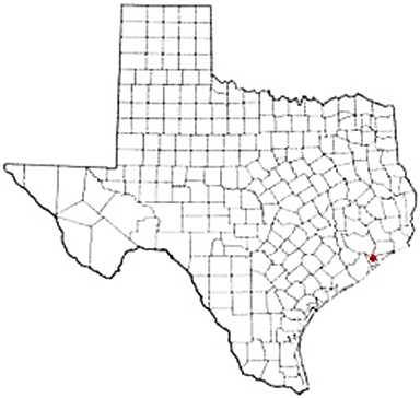 Dickinson Texas Apostille Document Services