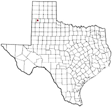 Dimmitt Texas Apostille Document Services