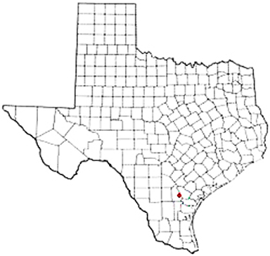 Dinero Texas Apostille Document Services