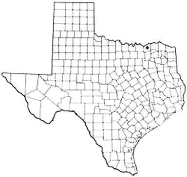 Dodd City Texas Apostille Document Services