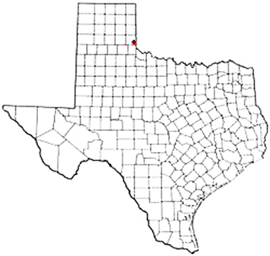 Dodson Texas Apostille Document Services