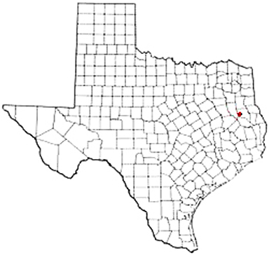 Douglass Texas Apostille Document Services
