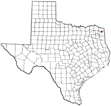 Douglassville Texas Apostille Document Services