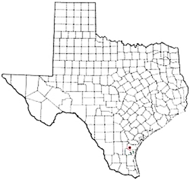 Driscoll Texas Apostille Document Services