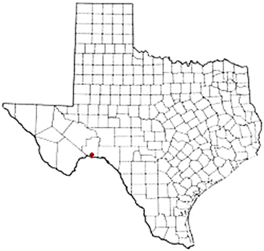 Dryden Texas Apostille Document Services
