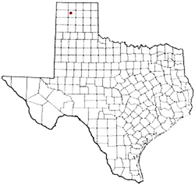 Dumas Texas Apostille Document Services