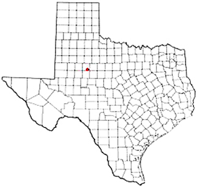 Dunn Texas Apostille Document Services