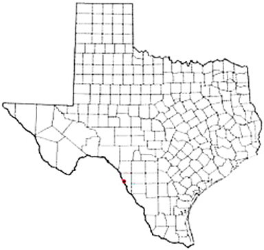 Eagle Pass Texas Apostille Document Services