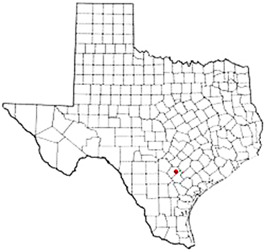 Ecleto Texas Apostille Document Services