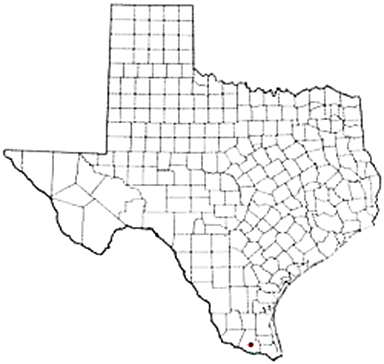 Edinburg Texas Apostille Document Services