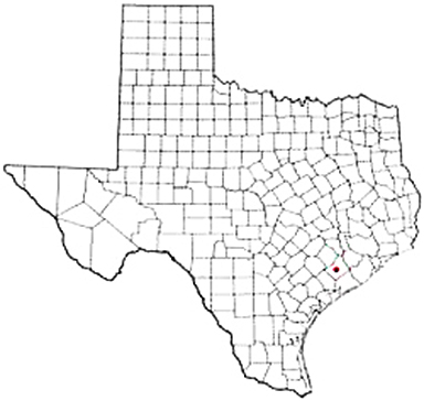 El Campo Texas Apostille Document Services