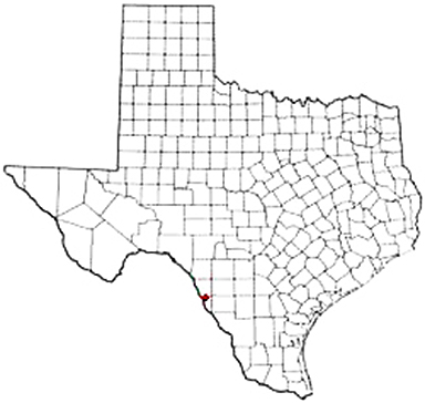 El Indio Texas Apostille Document Services