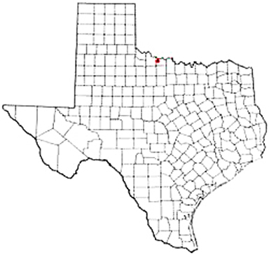 Electra Texas Apostille Document Services
