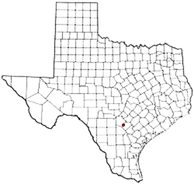 Elmendorf Texas Apostille Document Services