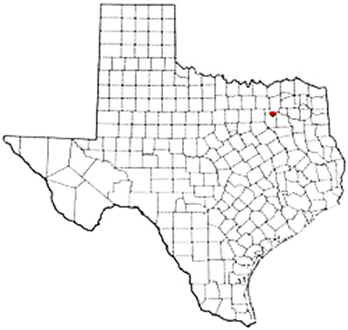 Elmo Texas Apostille Document Services