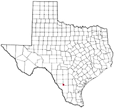 Encinal Texas Apostille Document Services