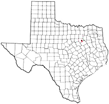 Ennis Texas Apostille Document Services