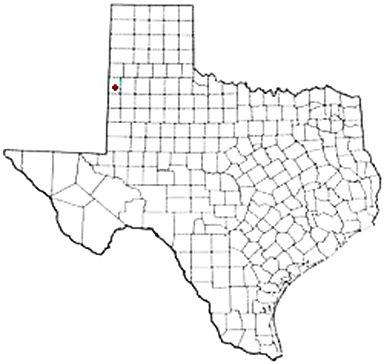 Enochs Texas Apostille Document Services