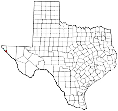 Fabens Texas Apostille Document Services