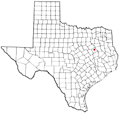 Fairfield Texas Apostille Document Services