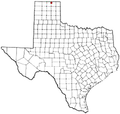Farnsworth Texas Apostille Document Services