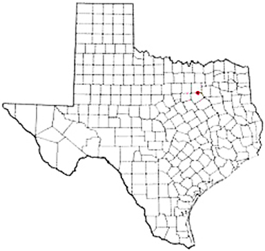 Ferris Texas Apostille Document Services