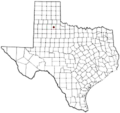 Flomot Texas Apostille Document Services