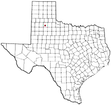 Floydada Texas Apostille Document Services