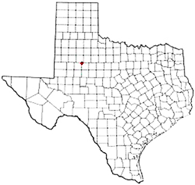 Fluvanna Texas Apostille Document Services