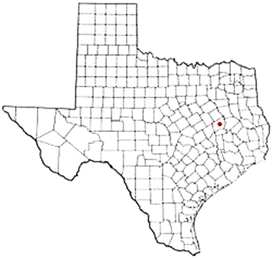 Flynn Texas Apostille Document Services
