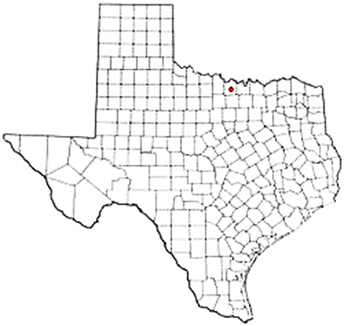 Forestburg Texas Apostille Document Services