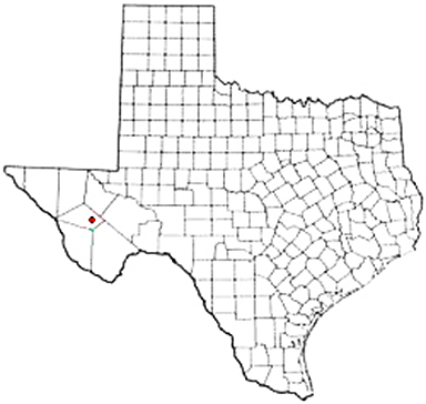 Fort Davis Texas Apostille Document Services