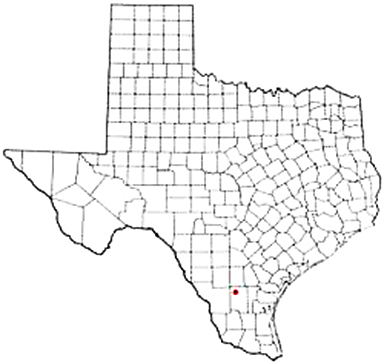 Freer Texas Apostille Document Services