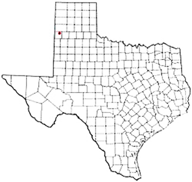Friona Texas Apostille Document Services