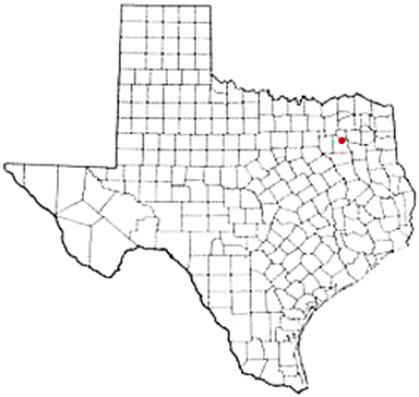 Fruitvale Texas Apostille Document Services