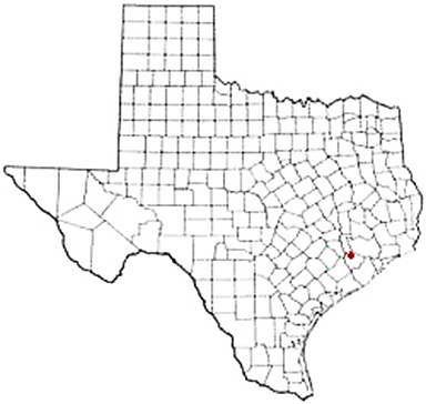 Fulshear Texas Apostille Document Services