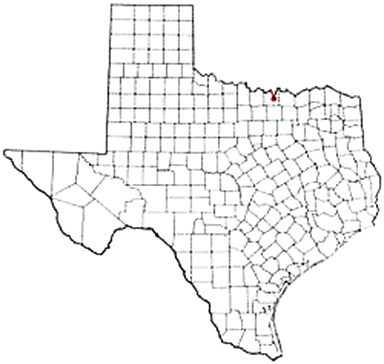 Gainesville Texas Apostille Document Services
