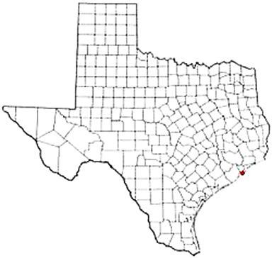 Galveston Texas Apostille Document Services