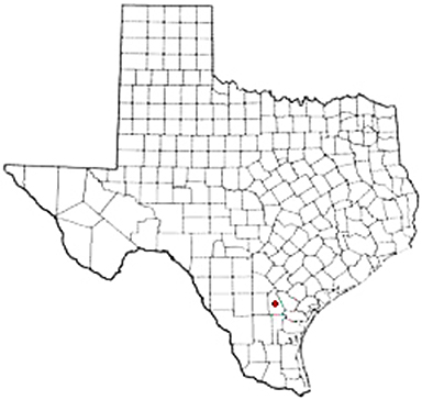 George West Texas Apostille Document Services