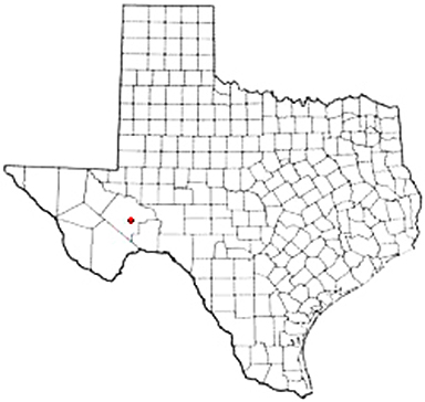 Girvin Texas Apostille Document Services