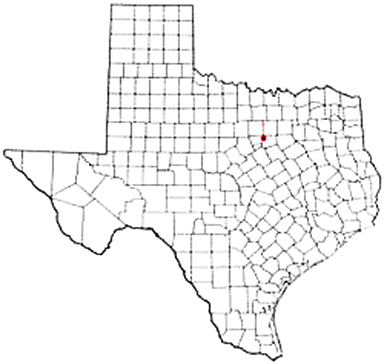Godley Texas Apostille Document Services