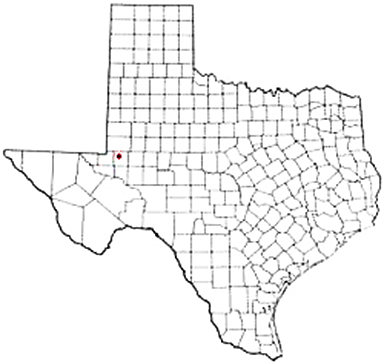 Goldsmith Texas Apostille Document Services