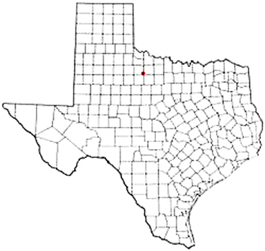 Goree Texas Apostille Document Services