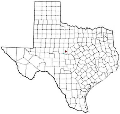 Gouldbusk Texas Apostille Document Services