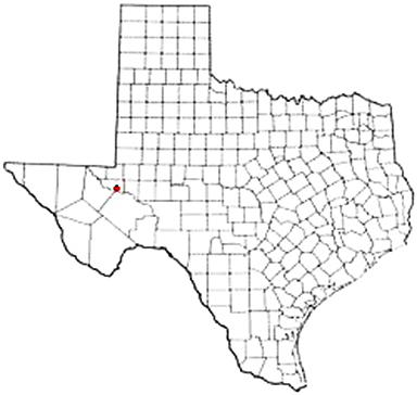 Grandfalls Texas Apostille Document Services
