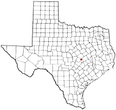 Granger Texas Apostille Document Services
