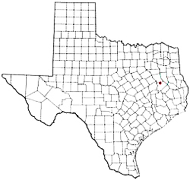 Grapeland Texas Apostille Document Services
