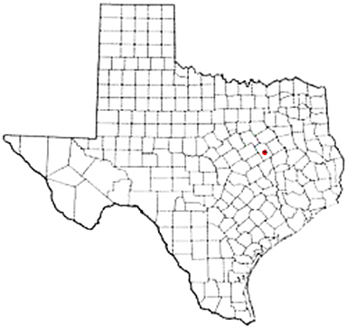 Groesbeck Texas Apostille Document Services
