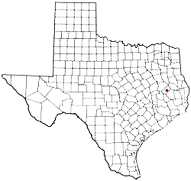 Groveton Texas Apostille Document Services