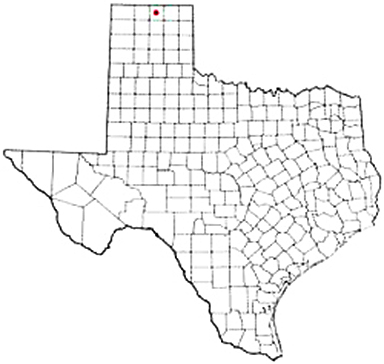 Gruver Texas Apostille Document Services